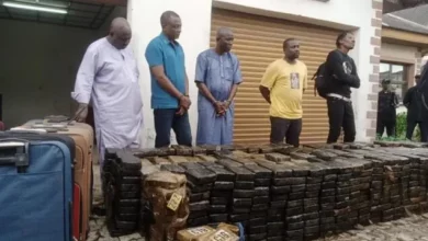 Lagos monarch hails NDLEA over N194bn cocaine bust