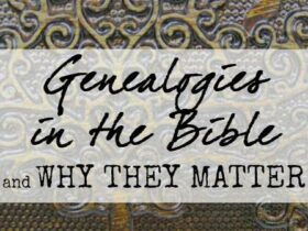 Why you mustn’t skip Bible genealogies- Beautiful Y. Goldly