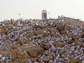 Pilgrims ascend Mount Arafat for hajj rites